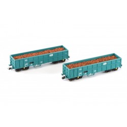 B-MODELS set de 2 wagons bâchés "Rils"  GREEN CARGO